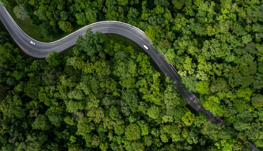 An aerial view of a road running through a forest